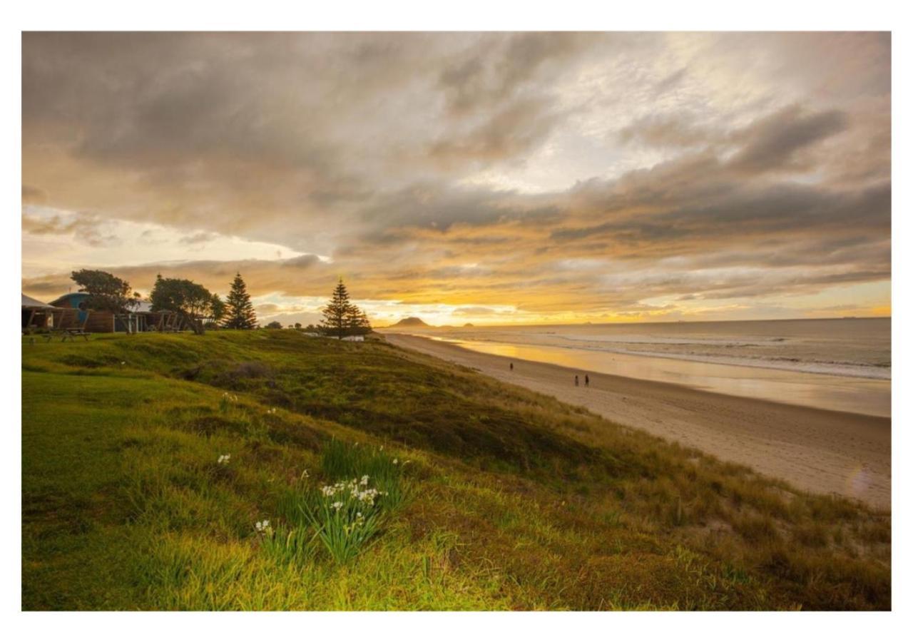 Cabbage Tree - Summer Or Winter Beachfront Haven Papamoa Luaran gambar